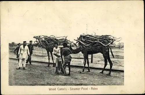 Ak Aden Jemen, Steamer Point, Kamele mit Holz beladen