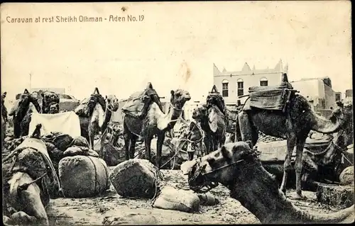 Ak Aden Jemen, Stadtviertel Sheikh Othman, Karawane bei der Rast, Kamele