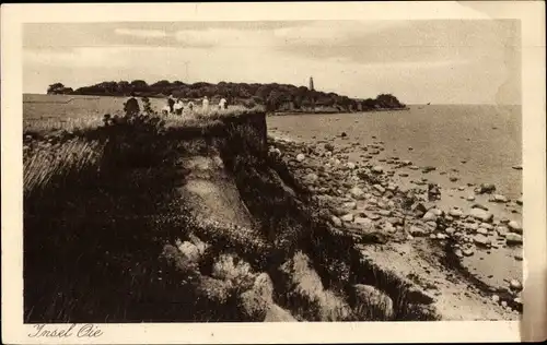 Ak Insel Oie, Greifswalder Oie, Küste