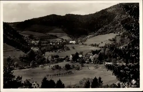 Ak Glotterbad im Schwarzwald, Panorama Oberglottertal