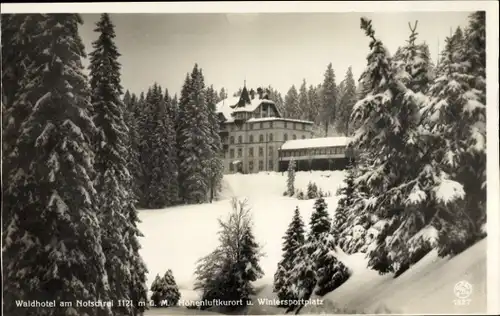 Ak Todtnau im Schwarzwald, Waldhotel am Notschrei