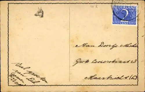 Ak Zwei junge Katzen in Schuhen