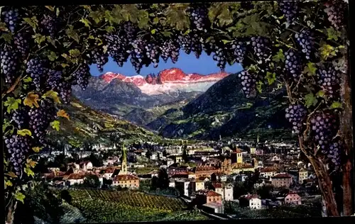 Passepartout Ak Gries Bozen Bolzano Südtirol, Gesamtansicht, Weintrauben