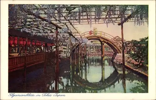 Ak Tokyo Tokio Japan, Glycinienblüte