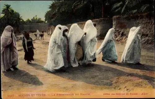 Ak Algerien, Haremsfrauen