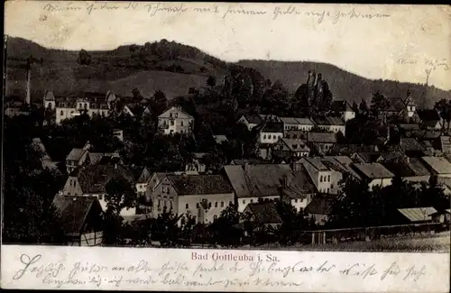 Ak Bad Gottleuba in Sachsen, Panorama