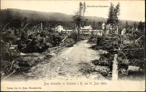 Ak Schierke Wernigerode am Harz, Gewitterbruch am 17 Juni 1904, Unwetter, Brockenchaussee
