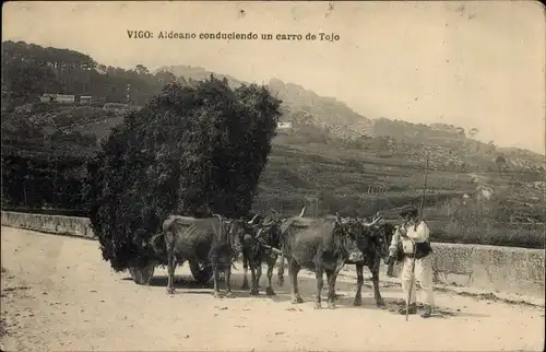 Ak Vigo Galicien Spanien, Dorfbewohner mit einem Ginsterkarren