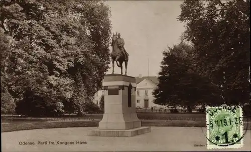Ak Odense Dänemark, Parti fra Kongens Have