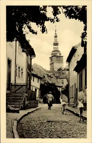 Ak Bad Frankenhausen im Kyffhäuserkreis, Blick in die Oberkirchgasse, Ziegen