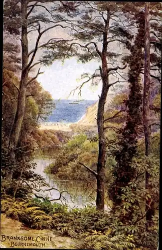 Künstler Ak Bournemouth Dorset England, Branksome Chine