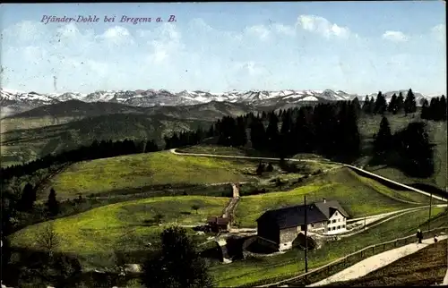 Ak Bregenz am Bodensee Vorarlberg, Pfänder-Dohle