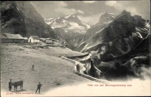 Ak Kanton Glarus Schweiz, Baumgartneralp, Tödi