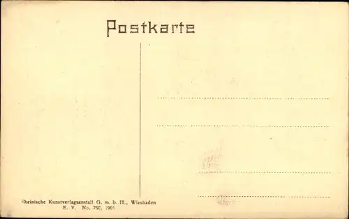 Ak Rheinfall Kanton Schaffhausen, Gesamtansicht