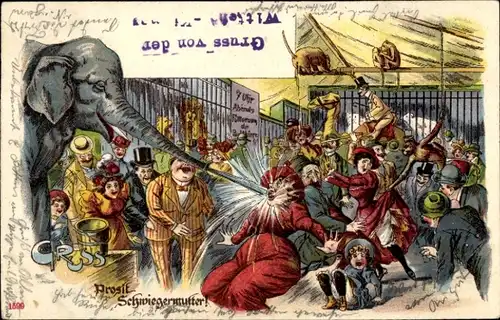 Litho Prosit Schwiegermutter, Elefant spritzt Wasser aus Rüssel, Zirkus, exotische Tiere, Zuschauer