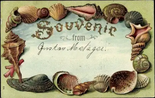 Präge Ak Muscheln, Souvenir, Kitsch