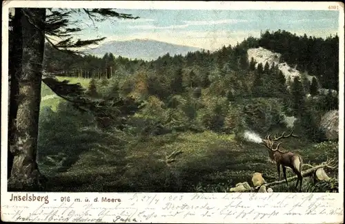 Litho Brotterode Trusetal in Thüringen, Landschaftsblick, röhrender Hirsch, Inselsberg