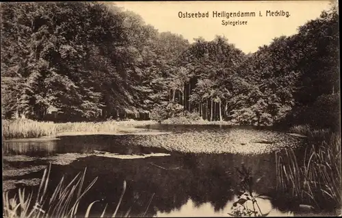 Ak Ostseebad Heiligendamm Bad Doberan, Spiegelsee