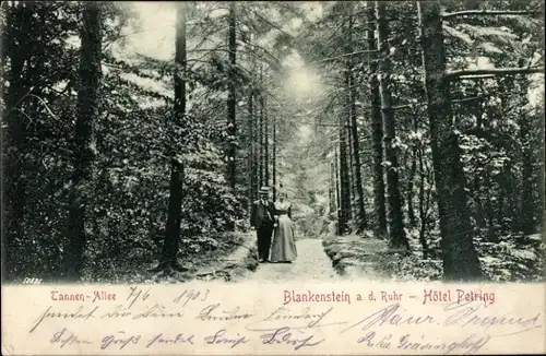 Ak Blankenstein an der Ruhr Hattingen, Hotel Petring, Tannen-Allee