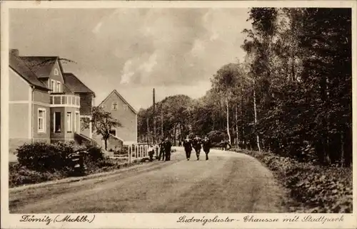 Ak Dörnitz Möckern im Jerichower Land, Ludwigsluster-Chaussee, Stadtpark