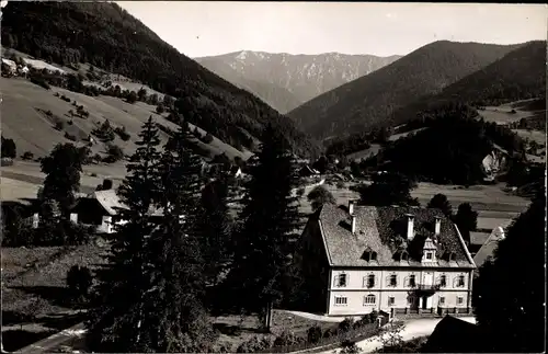 Ak Hollenstein an der Ybbs in Niederösterreich, Panorama, Hotel