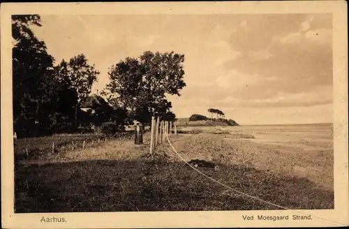 Ak Århus Aarhus Dänemark, Ved Moesgaard Strand