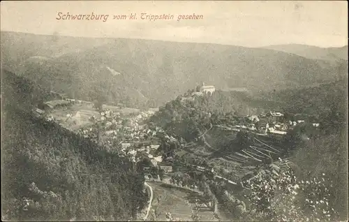 Ak Schwarzburg Thüringer Wald, Panorama, Schloss