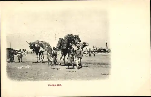 Ak Aden Jemen, Karawane, beladene Kamele