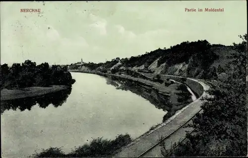 Ak Nerchau Grimma in Sachsen, Muldental, Panorama