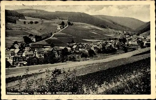 Ak Mengersgereuth Hämmern in Thüringen, Panorama, Blick vom Fuße des Mühlberges