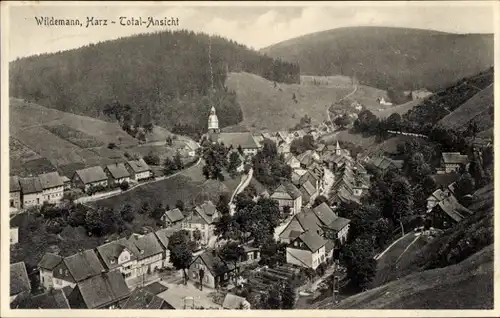 Ak Wildemann Clausthal Zellerfeld im Oberharz, Total-Ansicht