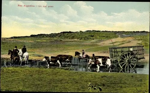 Ak Argentinien, Bauern mit Kühen, Wagen