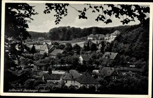 Ak Steinbergen Rinteln in Niedersachsen, Blick auf den Ort