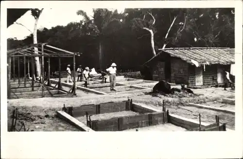 Foto Afrikanisches Dorf, Palmen, Baustelle, Wohnhäuser