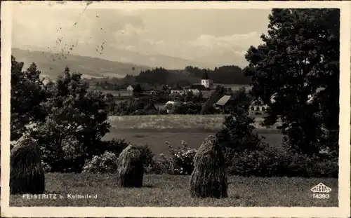 Foto Ak Feistritz bei Knittelfeld Steiermark, Panorama