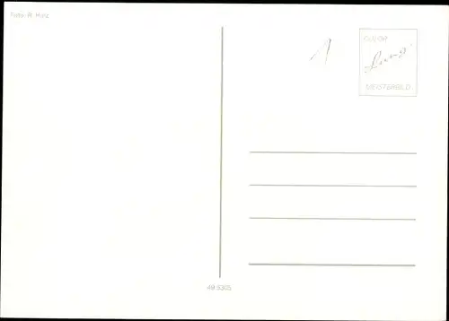 Ak Portrait eines Hundes auf einer Wiese