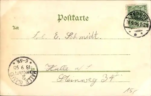 Litho Zerbst in Anhalt, Markt, Rathaus, Schloss, Gesamtansicht