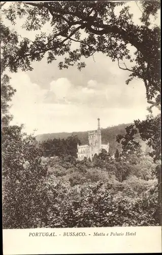 Ak Buçaco Bussaco Portugal, Matta e Palacio Hotel