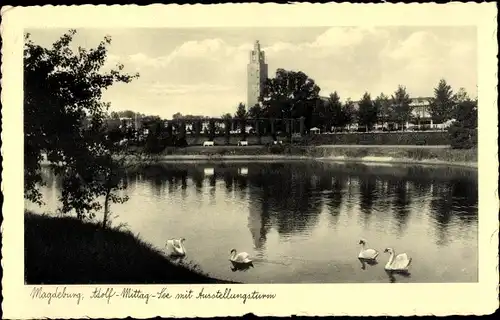 Ak Magdeburg an der Elbe, Adolf-Mittag-See, Ausstellungsturm, Schwäne