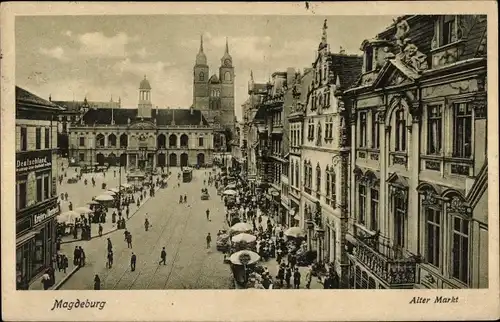 Ak Magdeburg an der Elbe, Alter Markt, Dom, Rathaus, Straßenbahn