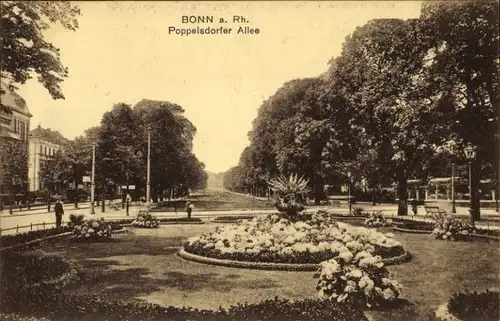 Ak Bonn am Rhein, Poppelsdorfer Allee, Park