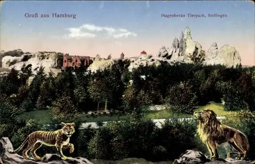 Ak Hamburg Eimsbüttel Stellingen, Hagenbecks Tierpark, Löwe, Tiger