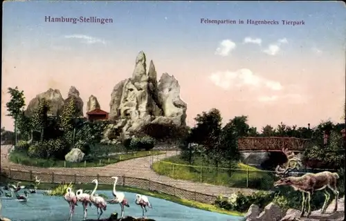 Ak Hamburg Eimsbüttel Stellingen, Hagenbecks Tierpark, Felsen, Flamingo, Hirsch