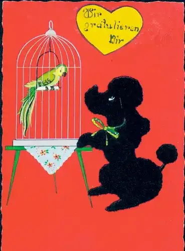 Stoff Ak Pudel und Papagei im Käfig, Glückwunsch, Kitsch