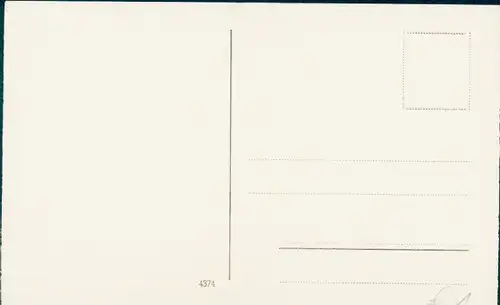 Ak Zwei Terrier, Tierportrait, Welpen