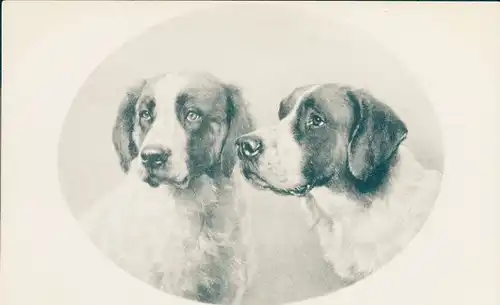 Litho Zwei Hunde, Tierportrait