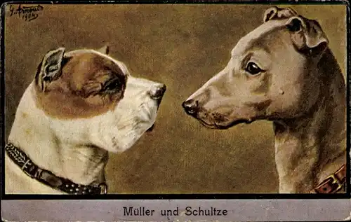 Künstler Ak Hunde, Profil, Weimaraner und Boxer, kupierte Ohren