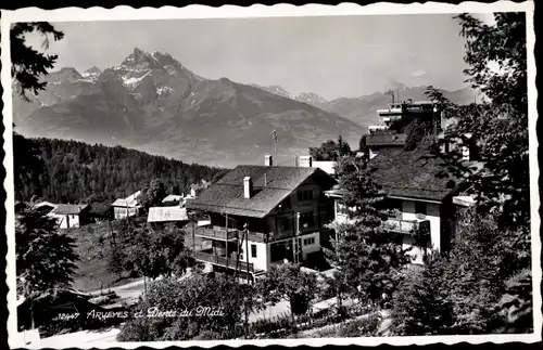 Ak Arveyes Ollon Kanton Waadt, Panorama, Dents du Midi