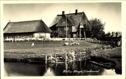 Ak Hallig Hooge in Nordfriesland, Kirchwarf, Bauernhof