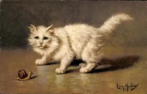 Künstler Ak Huber, Leon, Langhaarige weiße Katze und Schnecke
